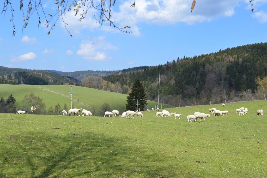 Chata Nova Seninka Staré Město Extérieur photo