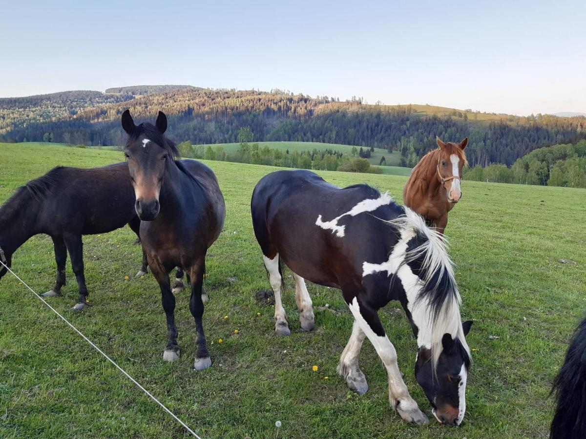 Chata Nova Seninka Staré Město Extérieur photo
